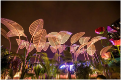 ¶�������Ӿ����ר�������������Ϣ�أ�