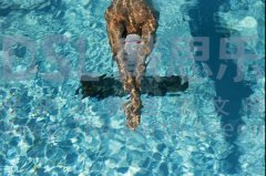 ��Ӿ�˶���ѧ������ѧ���Ҿ�ɾ������