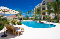 ����ͥԺ�ǽ�Ӿ�غ��վ���غ��أ�һ�������ȷ�ˣ�