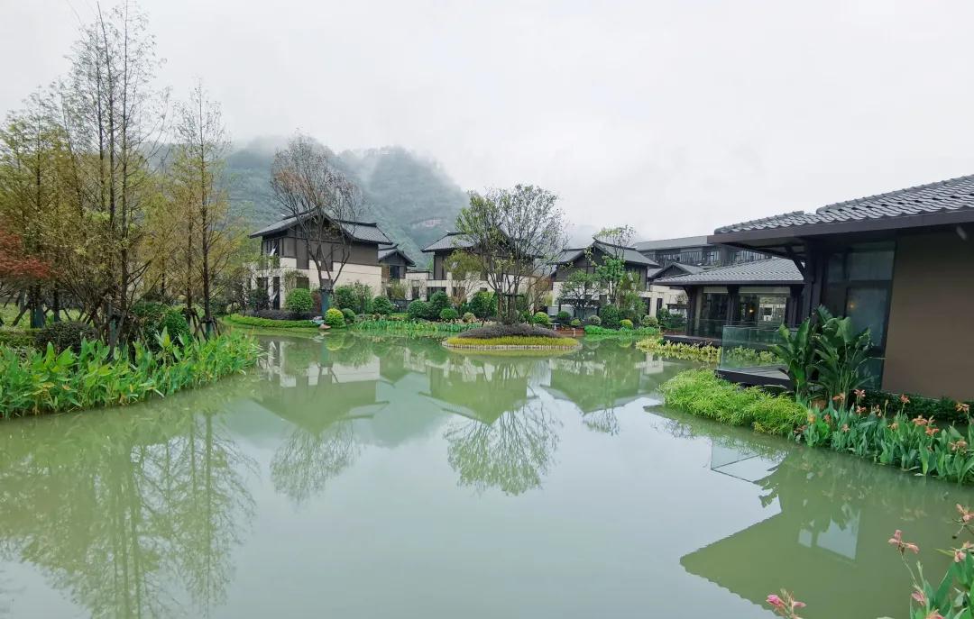 royal�ʼ�88��(�й�) - �ٷ���վ