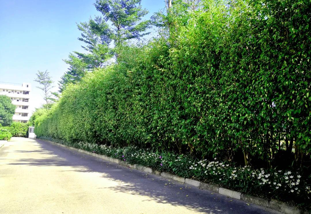 royal�ʼ�88��(�й�) - �ٷ���վ