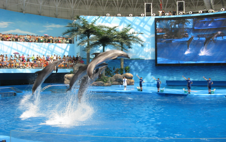 royal�ʼ�88��(�й�) - �ٷ���վ