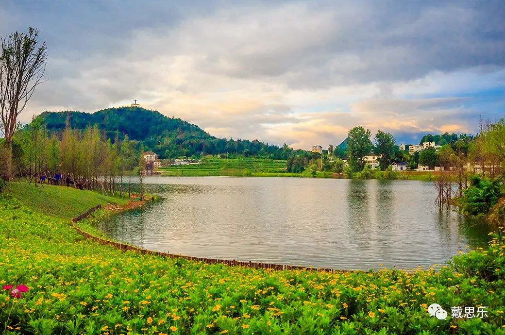 royal�ʼ�88��(�й�) - �ٷ���վ