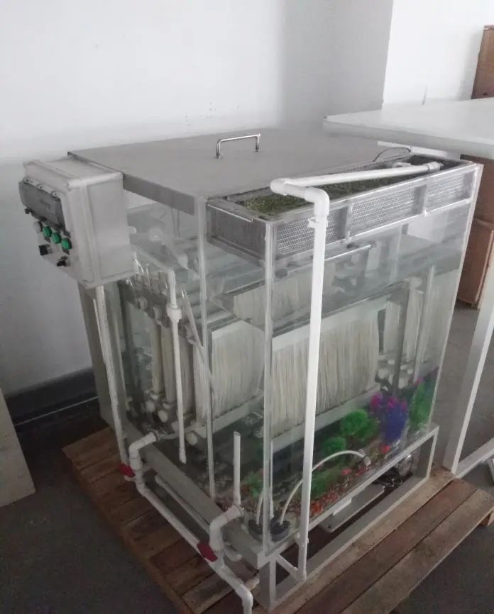 royal�ʼ�88��(�й�) - �ٷ���վ