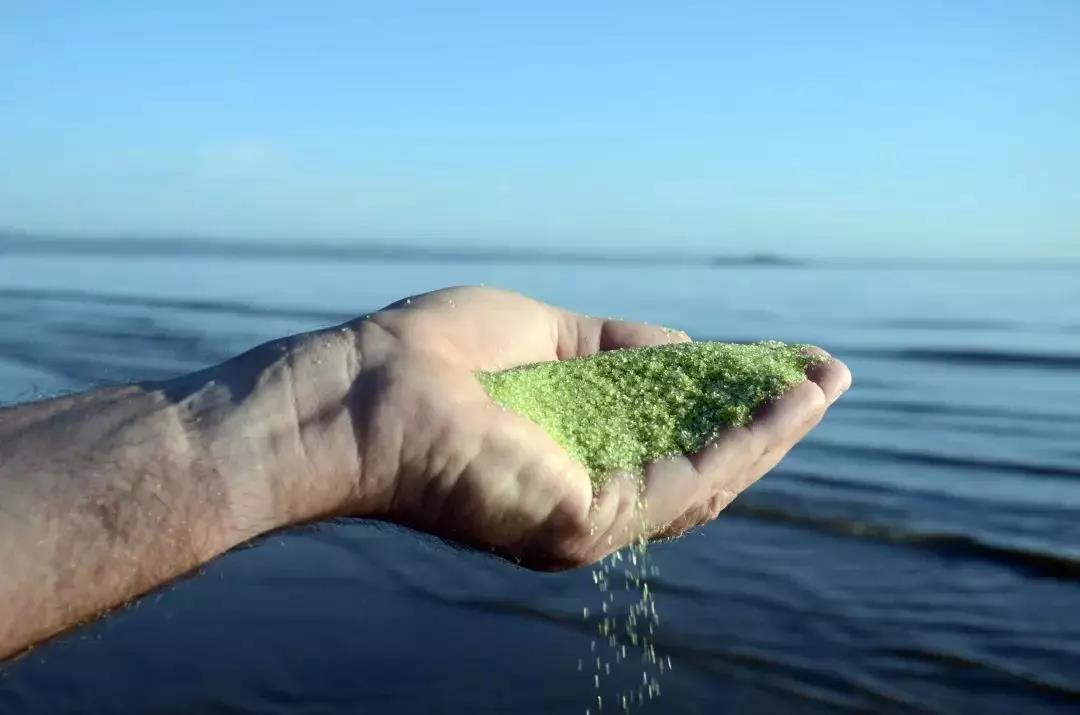 ������Ӿ��,����Ӿ�ؼƻ�