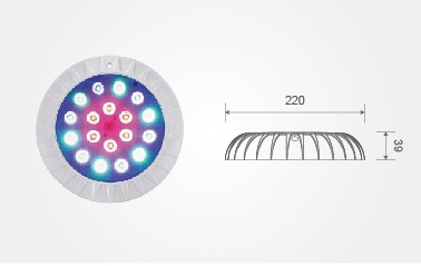 royal�ʼ�88��(�й�) - �ٷ���վ