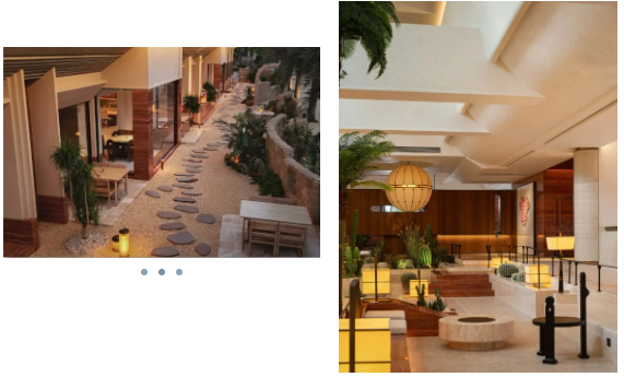 royal�ʼ�88��(�й�) - �ٷ���վ