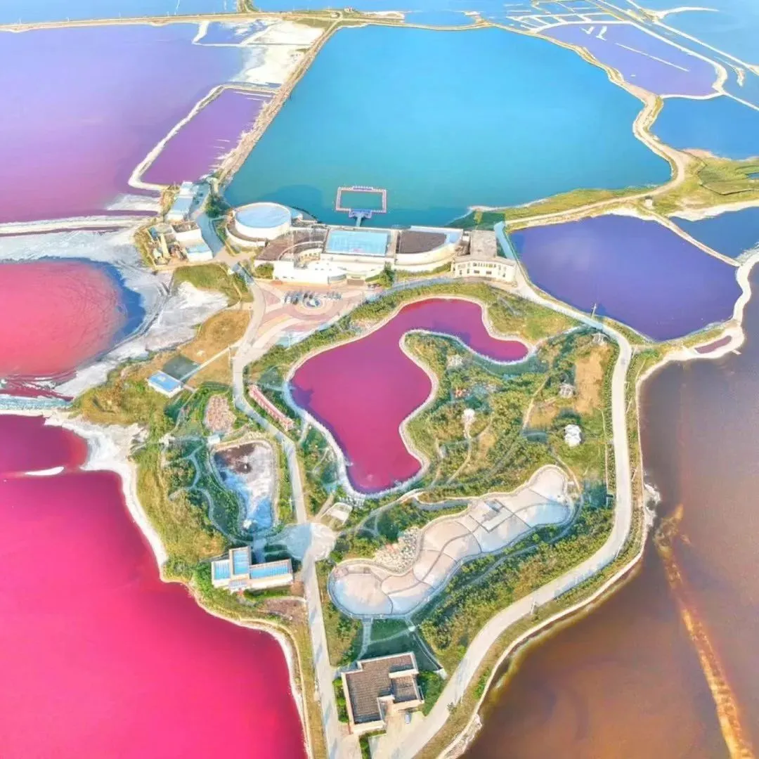 royal�ʼ�88��(�й�) - �ٷ���վ