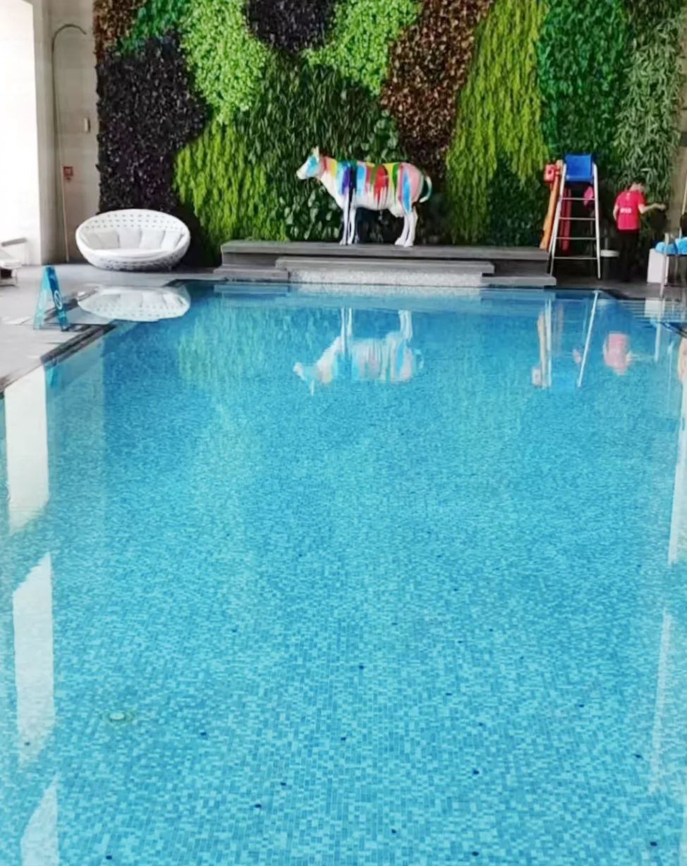 royal�ʼ�88��(�й�) - �ٷ���վ