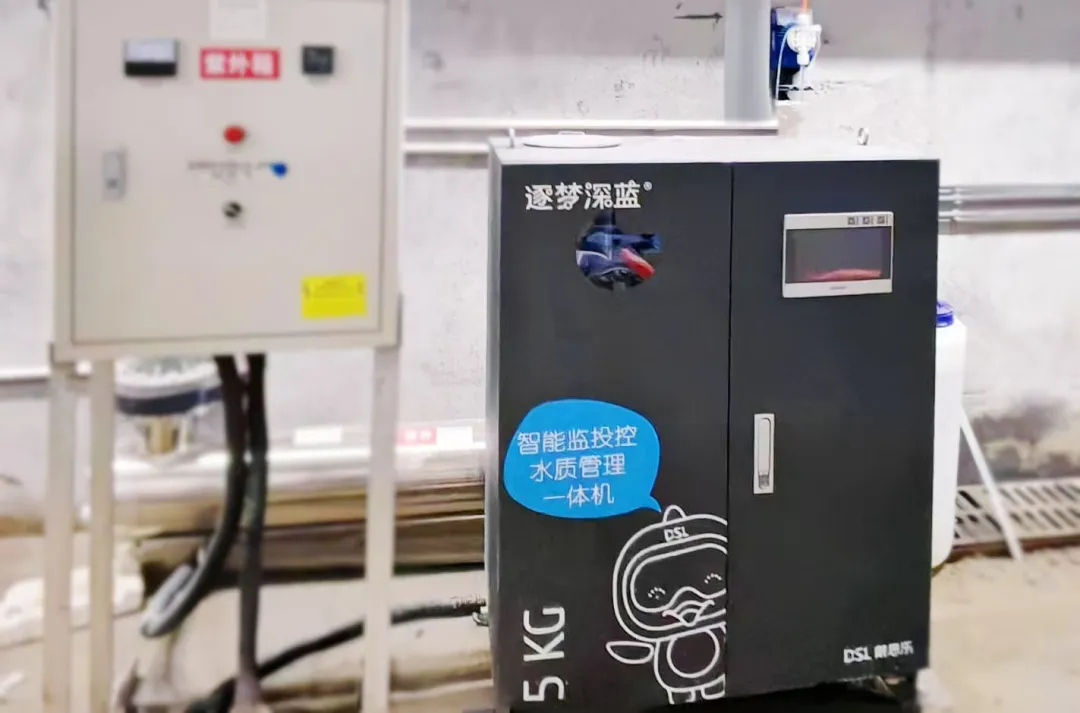 royal�ʼ�88��(�й�) - �ٷ���վ