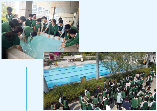 royal�ʼ�88��(�й�) - �ٷ���վ